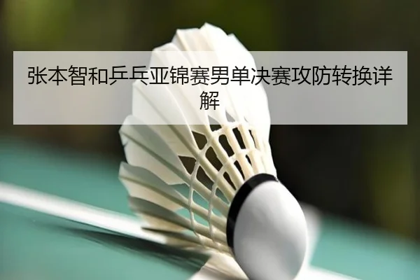 张本智和乒乓亚锦赛男单决赛攻防转换详解