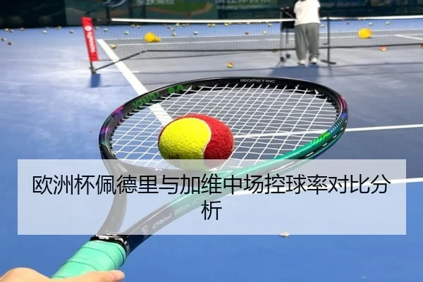 欧洲杯佩德里与加维中场控球率对比分析